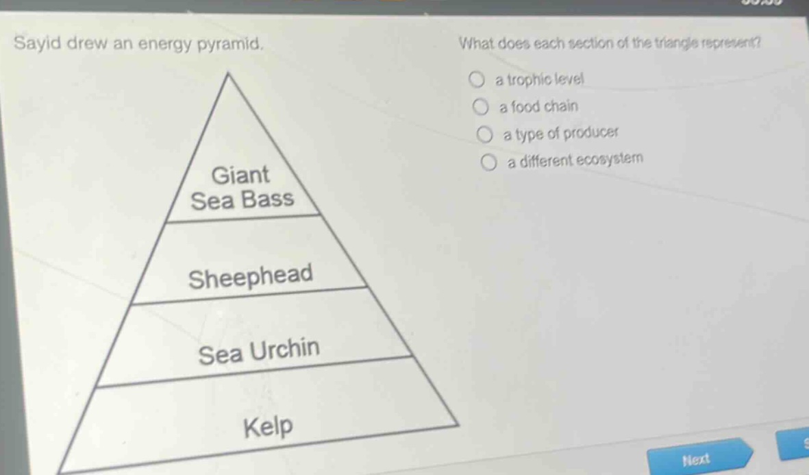 sayid drew an energy pyramid. what does each section of the triangle represent? a trophic level a food chain a type of producer a different ecosystem giant sea bass sheephead sea urchin kelp