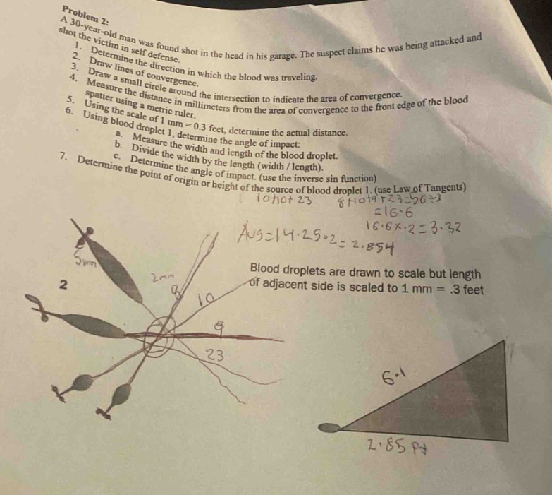 problem 2: a 30 - year - old man was found shot in the head in his garage. the suspect claims he was being attacked and shot the victim in self - defense. 1. determine the direction in which the blood was traveling. 2. draw lines of convergence. 3. draw a small circle around the intersection to indicate the area of convergence. 4. measure the distance in millimeters to the front edge of the blood spatter using a metric ruler. 5. using the scale of 1 mm = 0.3 feet, determine the actual distance. 6. using blood droplet 1, a. determine the angle of impact: b. measure the width and length of the blood droplet. c. divide the width by the length (width / length). 7. determine the point of origin or height of the source of blood droplet 1. (use law of tangents) 10 + 10+23 6 + 10+23 - 96 = 3 16.6 a5 = 14.25 + 2 = 3.32 16.6×2 = 3.32 2.854 blood droplets are drawn to scale but length of adjacent side is scaled to 1 mm =.3 feet