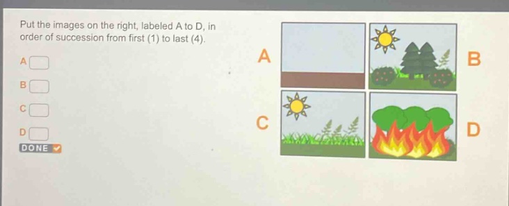 put the images on the right, labeled a to d, in order of succession from first (1) to last (4). a b c d done