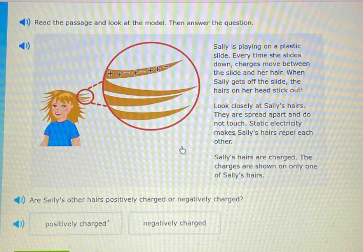 read the passage and look at the model. then answer the question. sally is playing on a plastic slide. every time she slides down, charges move between the slide and her hair. when sally gets off the slide, the hairs on her head stick out! look closely at sallys hairs. they are spread apart and do not touch. static electricity makes sallys hairs repel each other. sallys hairs are charged. the charges are shown on only one of sallys hairs. are sallys other hairs positively charged or negatively charged? positively charged negatively charged