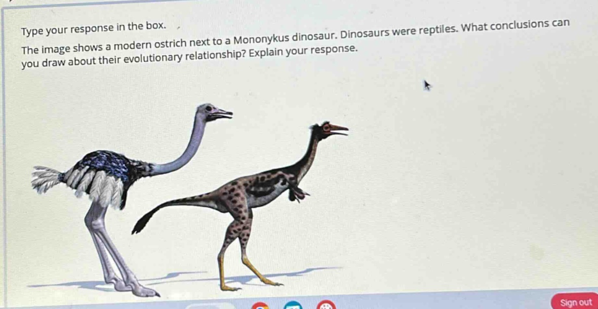 type your response in the box. the image shows a modern ostrich next to a mononykus dinosaur. dinosaurs were reptiles. what conclusions can you draw about their evolutionary relationship? explain your response.