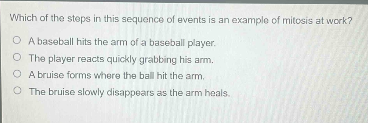 which of the steps in this sequence of events is an example of mitosis at work? a baseball hits the arm of a baseball player. the player reacts quickly grabbing his arm. a bruise forms where the ball hit the arm. the bruise slowly disappears as the arm heals.