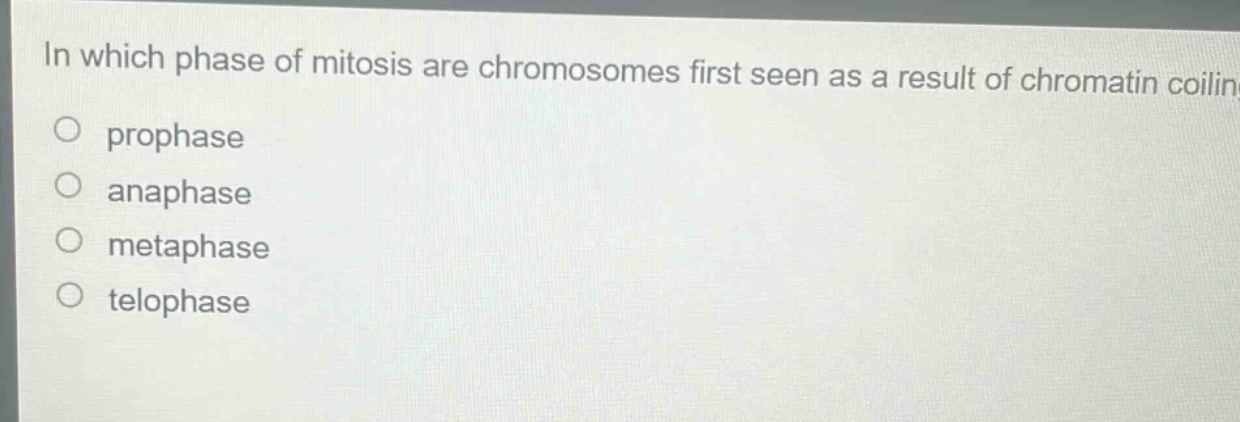 in which phase of mitosis are chromosomes first seen as a result of chromatin coiling? prophase anaphase metaphase telophase