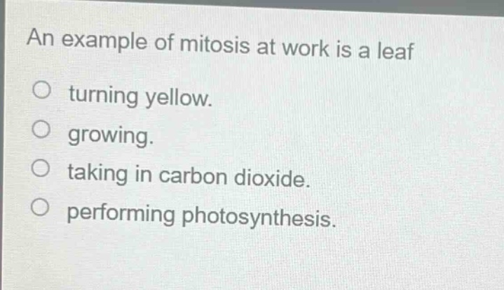 an example of mitosis at work is a leaf turning yellow. growing. taking in carbon dioxide. performing photosynthesis.