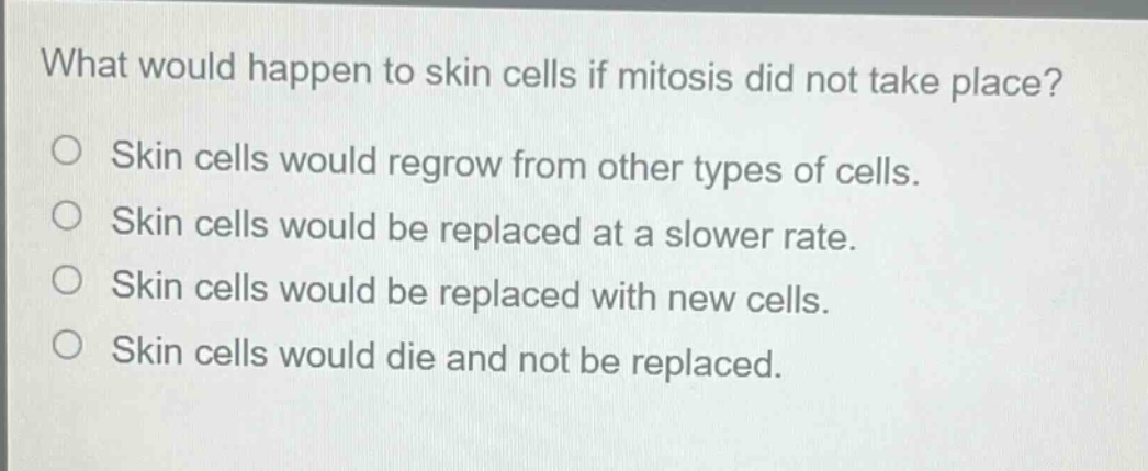 what would happen to skin cells if mitosis did not take place? skin cells would regrow from other types of cells. skin cells would be replaced at a slower rate. skin cells would be replaced with new cells. skin cells would die and not be replaced.