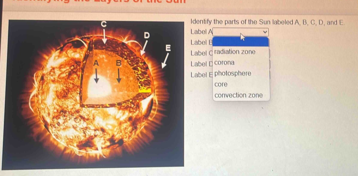 identify the parts of the sun labeled a, b, c, d, and e. label a label b label c radiation zone label d corona label e photosphere core convection zone