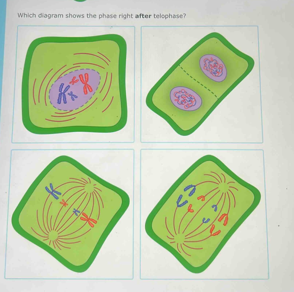 which diagram shows the phase right after telophase?