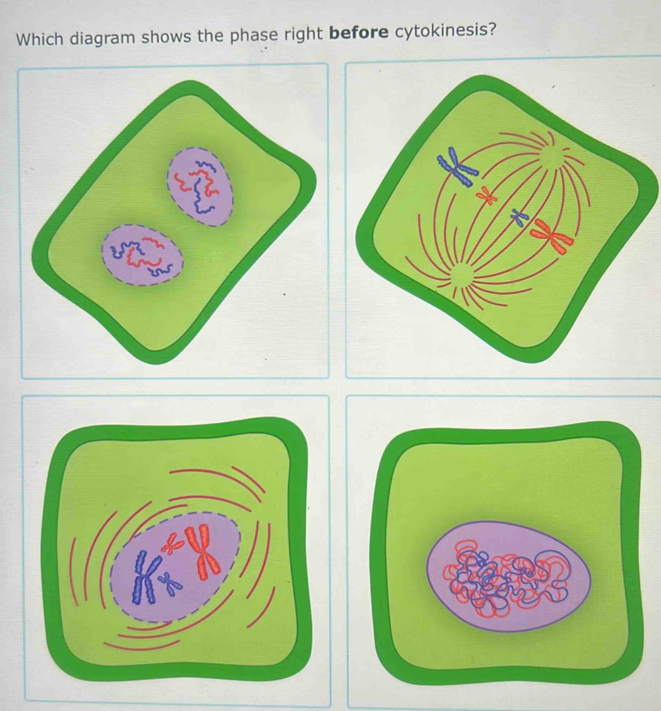 which diagram shows the phase right before cytokinesis?