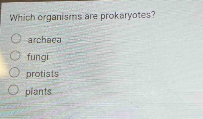 which organisms are prokaryotes?\narchaea\nfungi\nprotists\nplants