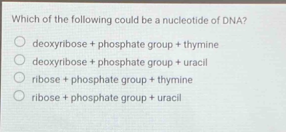 which of the following could be a nucleotide of dna?\ndeoxyribose + phosphate group + thymine\ndeoxyribose + phosphate group + uracil\nribose + phosphate group + thymine\nribose + phosphate group + uracil