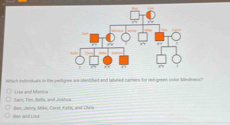 which individuals in the pedigree are identified and labeled carriers for red - green color blindness?\no lisa and monica\no sam, tim, bella, and joshua\no ben, jenny, mike, carol, katie, and chris\no ben and lisa