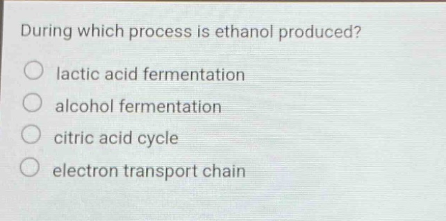 during which process is ethanol produced?\no lactic acid fermentation\no alcohol fermentation\no citric acid cycle\no electron transport chain