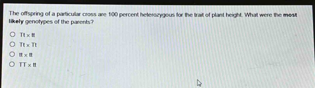 the offspring of a particular cross are 100 percent heterozygous for the trait of plant height. what were the most likely genotypes of the parents?\no tt×tt\no tt×tt\no tt×tt\no tt×tt