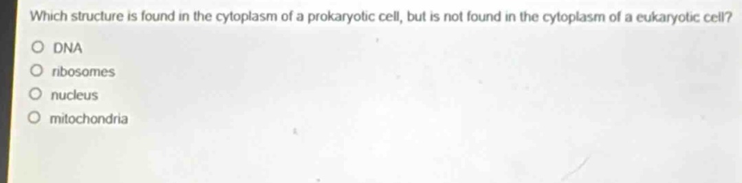 which structure is found in the cytoplasm of a prokaryotic cell, but is not found in the cytoplasm of a eukaryotic cell? dna ribosomes nucleus mitochondria