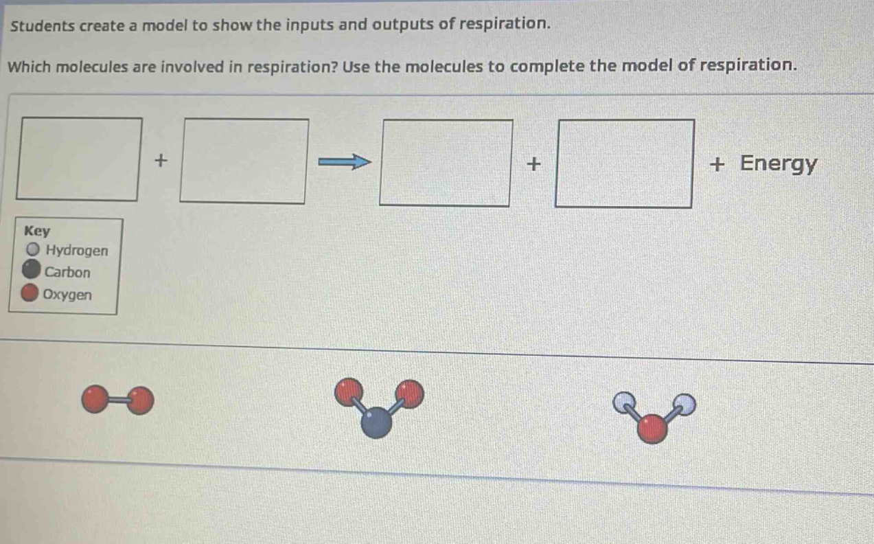 students create a model to show the inputs and outputs of respiration. which molecules are involved in respiration? use the molecules to complete the model of respiration. key hydrogen carbon oxygen
