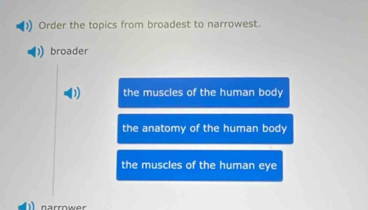 order the topics from broadest to narrowest. broader the muscles of the human body the anatomy of the human body the muscles of the human eye narrower