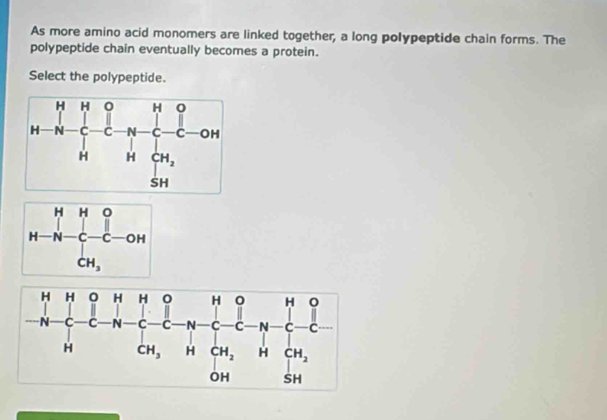 as more amino acid monomers are linked together, a long polypeptide chain forms. the polypeptide chain eventually becomes a protein. select the polypeptide.