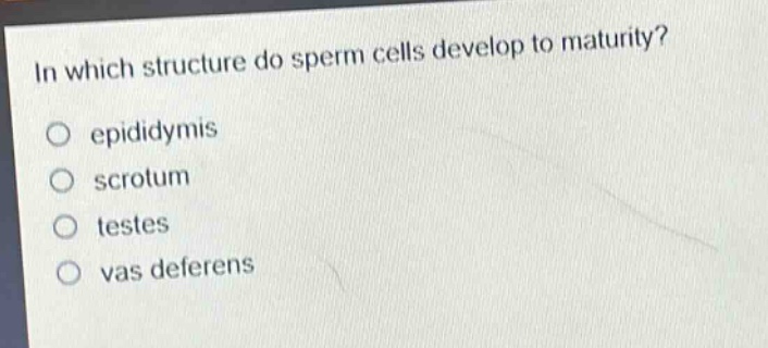 in which structure do sperm cells develop to maturity? epididymis scrotum testes vas deferens