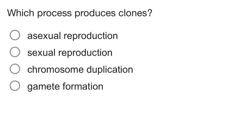 which process produces clones?\nasexual reproduction\nsexual reproduction\nchromosome duplication\ngamete formation