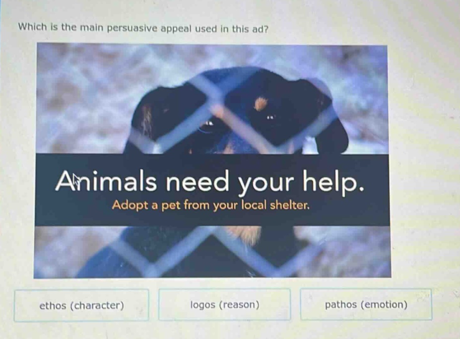 which is the main persuasive appeal used in this ad? animals need your help. adopt a pet from your local shelter. ethos (character) logos (reason) pathos (emotion)
