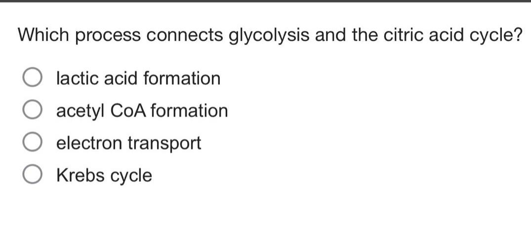 which process connects glycolysis and the citric acid cycle?\nlactic acid formation\nacetyl coa formation\nelectron transport\nkrebs cycle