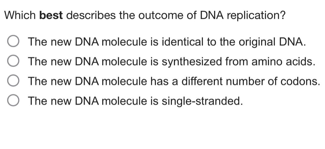 which best describes the outcome of dna replication? the new dna molecule is identical to the original dna. the new dna molecule is synthesized from amino acids. the new dna molecule has a different number of codons. the new dna molecule is single - stranded.