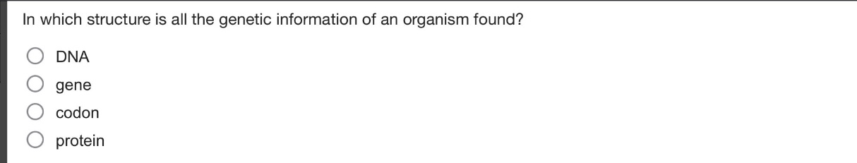 in which structure is all the genetic information of an organism found?\ndna\ngene\ncodon\nprotein