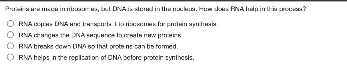 proteins are made in ribosomes, but dna is stored in the nucleus. how does rna help in this process? rna copies dna and transports it to ribosomes for protein synthesis. rna changes the dna sequence to create new proteins. rna breaks down dna so that proteins can be formed. rna helps in the replication of dna before protein synthesis.