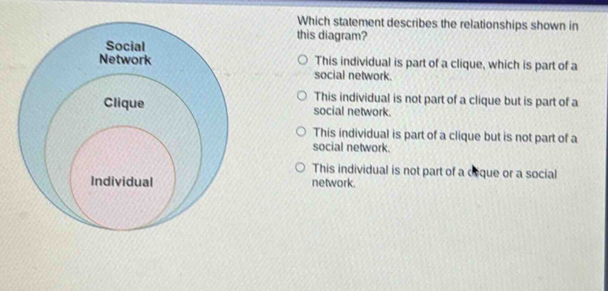 which statement describes the relationships shown in this diagram? this individual is part of a clique, which is part of a social network. this individual is not part of a clique but is part of a social network. this individual is part of a clique but is not part of a social network. this individual is not part of a clique or a social network.