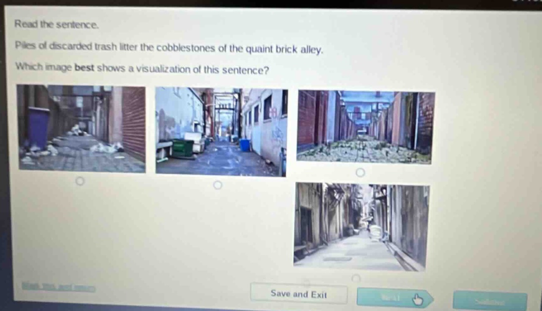 read the sentence. piles of discarded trash litter the cobblestones of the quaint brick alley. which image best shows a visualization of this sentence?