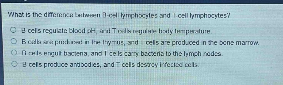 what is the difference between b - cell lymphocytes and t - cell lymphocytes?\no b cells regulate blood ph, and t cells regulate body temperature.\no b cells are produced in the thymus, and t cells are produced in the bone marrow.\no b cells engulf bacteria, and t cells carry bacteria to the lymph nodes.\no b cells produce antibodies, and t cells destroy infected cells.