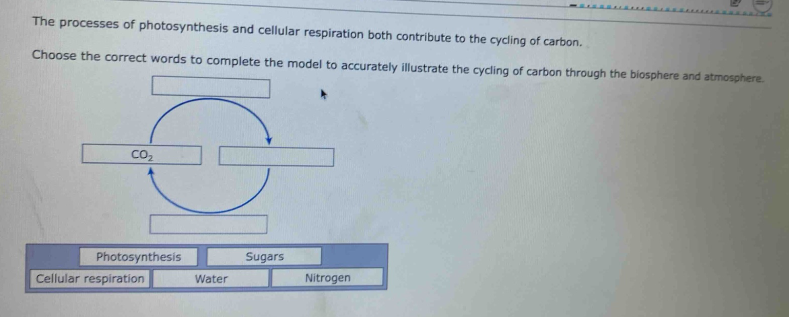 the processes of photosynthesis and cellular respiration both contribute to the cycling of carbon. choose the correct words to complete the model to accurately illustrate the cycling of carbon through the biosphere and atmosphere.