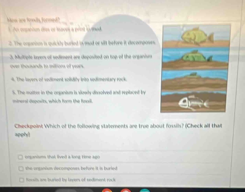 how are fossils formed? 1. an organism dies or leaves a print in mud. 2. the organism is quickly buried in mud or silt before it decomposes. 3. multiple layers of sediment are deposited on top of the organism over thousands to millions of years. 4. the layers of sediment solidify into sedimentary rock. 5. the matter in the organism is slowly dissolved and replaced by mineral deposits, which form the fossil. checkpoint which of the following statements are true about fossils? (check all that apply) organisms that lived a long time ago the organism decomposes before it is buried fossils are buried by layers of sediment rock