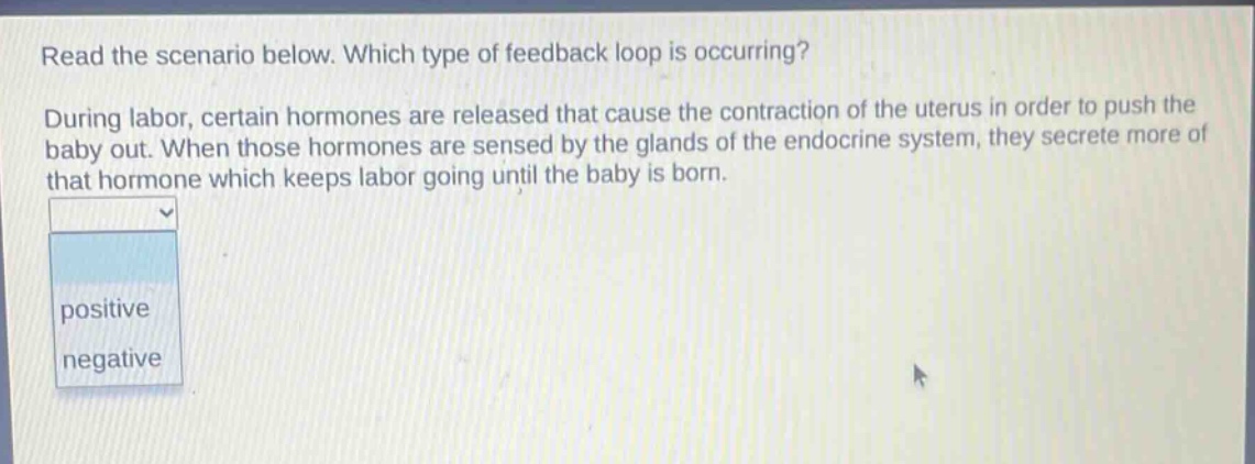 read the scenario below. which type of feedback loop is occurring? during labor, certain hormones are released that cause the contraction of the uterus in order to push the baby out. when those hormones are sensed by the glands of the endocrine system, they secrete more of that hormone which keeps labor going until the baby is born. positive negative