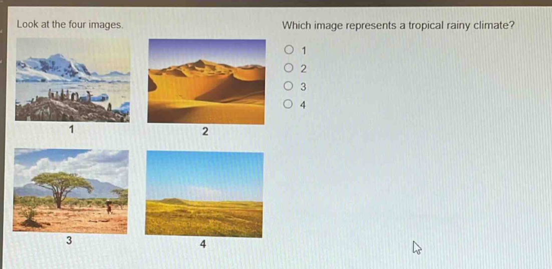 look at the four images. which image represents a tropical rainy climate? 1 2 3 4