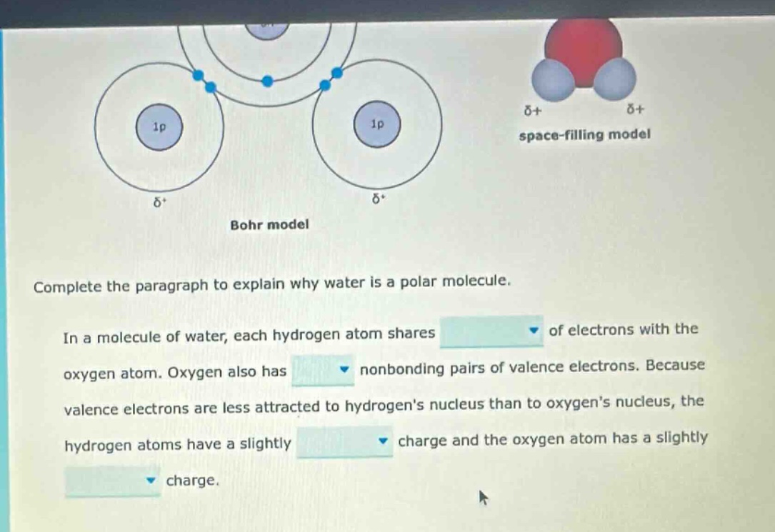 complete the paragraph to explain why water is a polar molecule. in a molecule of water, each hydrogen atom shares of electrons with the oxygen atom. oxygen also has nonbonding pairs of valence electrons. because valence electrons are less attracted to hydrogens nucleus than to oxygens nucleus, the hydrogen atoms have a slightly charge and the oxygen atom has a slightly charge.