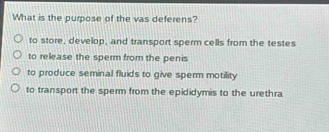 what is the purpose of the vas deferens? to store, develop, and transport sperm cells from the testes to release the sperm from the penis to produce seminal fluids to give sperm motility to transport the sperm from the epididymis to the urethra