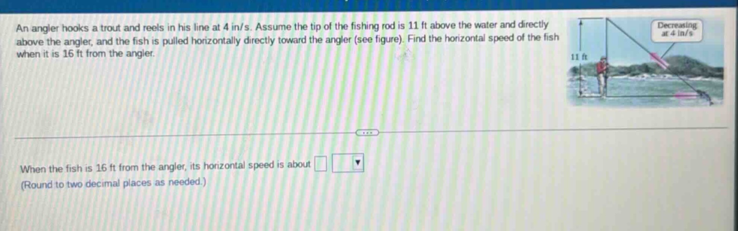 an angler hooks a trout and reels in his line at 4 in/s. assume the tip of the fishing rod is 11 ft above the water and directly above the angler, and the fish is pulled horizontally directly toward the angler (see figure). find the horizontal speed of the fish when it is 16 ft from the angler. when the fish is 16 ft from the angler, its horizontal speed is about (round to two decimal places as needed.)