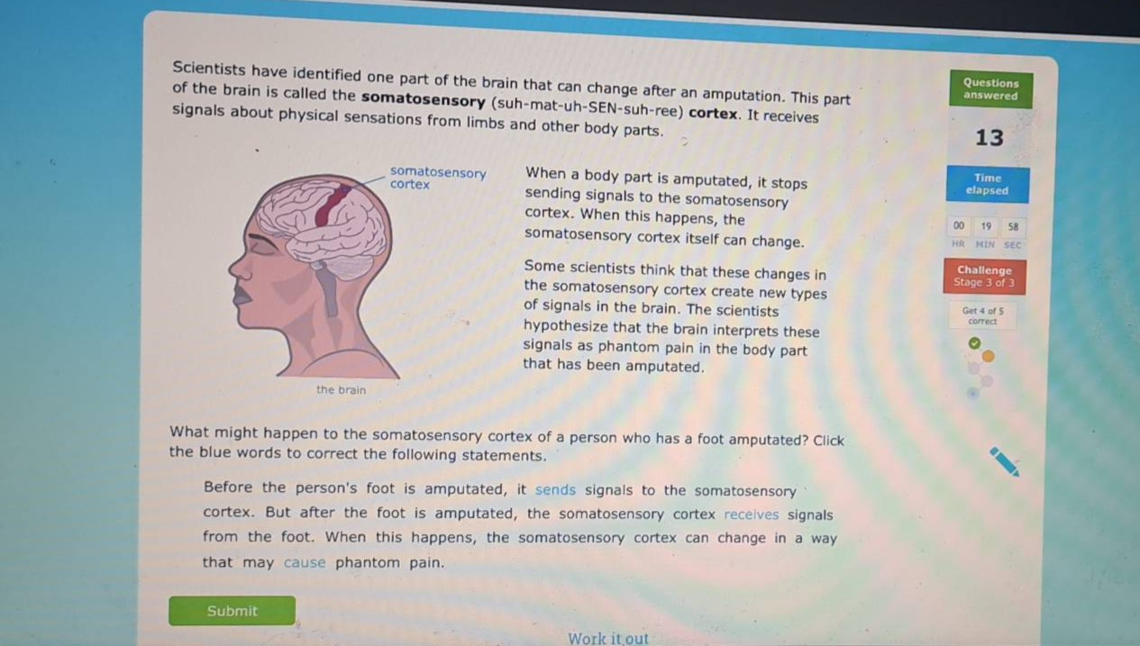 scientists have identified one part of the brain that can change after an amputation. this part of the brain is called the somatosensory (suh - mat - uh - sen - suh - ree) cortex. it receives signals about physical sensations from limbs and other body parts. when a body part is amputated, it stops sending signals to the somatosensory cortex. when this happens, the somatosensory cortex itself can change. some scientists think that these changes in the somatosensory cortex create new types of signals in the brain. the scientists hypothesize that the brain interprets these signals as phantom pain in the body part that has been amputated. what might happen to the somatosensory cortex of a person who has a foot amputated? click the blue words to correct the following statements. before the persons foot is amputated, it sends signals to the somatosensory cortex. but after the foot is amputated, the somatosensory cortex receives signals from the foot. when this happens, the somatosensory cortex can change in a way that may cause phantom pain.