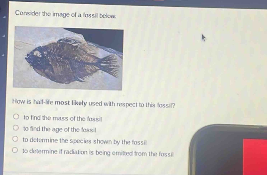 consider the image of a fossil below. how is half - life most likely used with respect to this fossil? to find the mass of the fossil to find the age of the fossil to determine the species shown by the fossil to determine if radiation is being emitted from the fossil