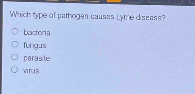 which type of pathogen causes lyme disease?\no bacteria\no fungus\no parasite\no virus