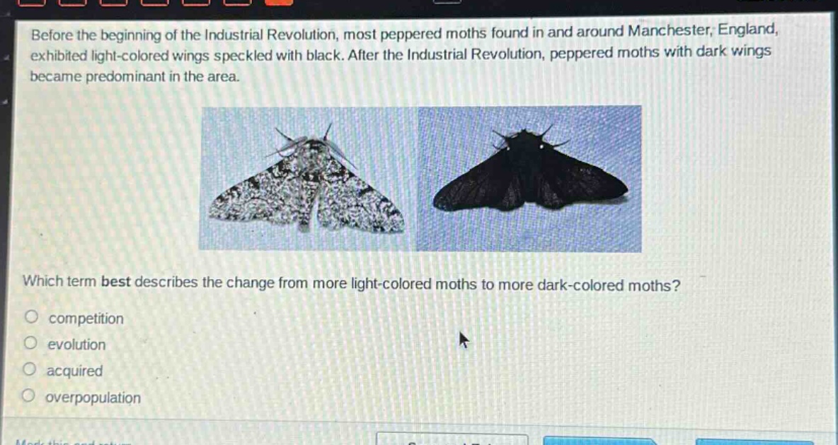 before the beginning of the industrial revolution, most peppered moths found in and around manchester, england, exhibited light - colored wings speckled with black. after the industrial revolution, peppered moths with dark wings became predominant in the area. which term best describes the change from more light - colored moths to more dark - colored moths? competition evolution acquired overpopulation