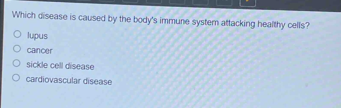 which disease is caused by the bodys immune system attacking healthy cells?\no lupus\no cancer\no sickle cell disease\no cardiovascular disease
