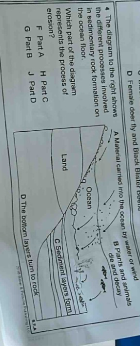 the diagram to the right shows the different processes involved in sedimentary rock formation on the ocean floor. which part of the diagram represents the process of erosion? a material carried into the ocean by water or wind b plants and animals decay c sediment layers form d the bottom layers turn to rock