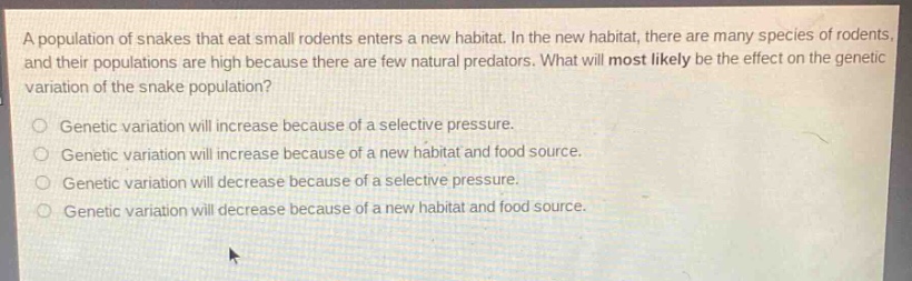 a population of snakes that eat small rodents enters a new habitat. in the new habitat, there are many species of rodents, and their populations are high because there are few natural predators. what will most likely be the effect on the genetic variation of the snake population?\ngenetic variation will increase because of a selective pressure.\ngenetic variation will increase because of a new habitat and food source.\ngenetic variation will decrease because of a selective pressure.\ngenetic variation will decrease because of a new habitat and food source.