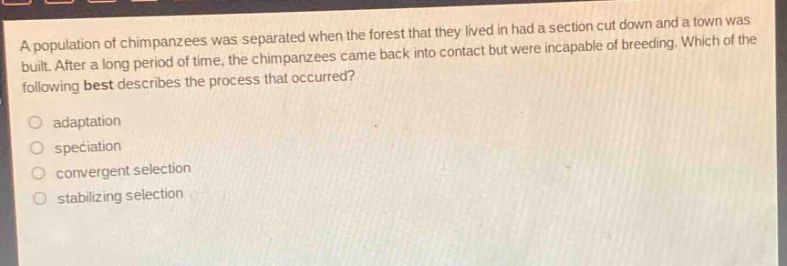 a population of chimpanzees was separated when the forest that they lived in had a section cut down and a town was built. after a long period of time, the chimpanzees came back into contact but were incapable of breeding. which of the following best describes the process that occurred?\no adaptation\no speciation\no convergent selection\no stabilizing selection