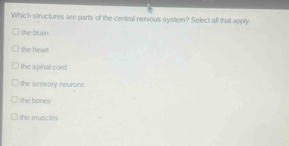 which structures are parts of the central nervous system? select all that apply. the brain the heart the spinal cord the sensory neurons the bones the muscles