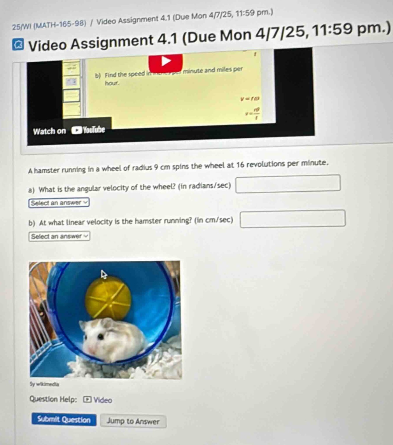 25/wi (math - 165 - 98) / video assignment 4.1 (due mon 4/7/25, 11:59 pm.) video assignment 4.1 (due mon 4/7/25, 11:59 pm.) b) find the speed in inches per minute and miles per hour. v = rω v = rθ/t watch on youtube a hamster running in a wheel of radius 9 cm spins the wheel at 16 revolutions per minute. a) what is the angular velocity of the wheel? (in radians/sec) select an answer b) at what linear velocity is the hamster running? (in cm/sec) select an answer question help: video submit question jump to answer