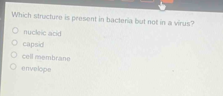 which structure is present in bacteria but not in a virus?\no nucleic acid\no capsid\no cell membrane\no envelope