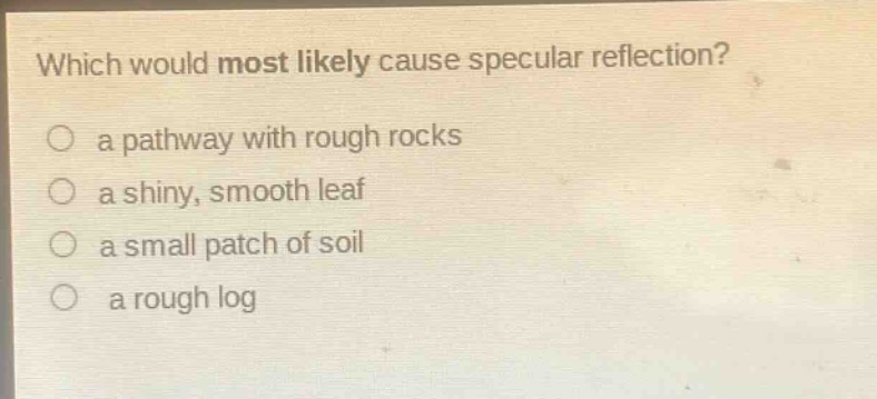 which would most likely cause specular reflection? a pathway with rough rocks a shiny, smooth leaf a small patch of soil a rough log